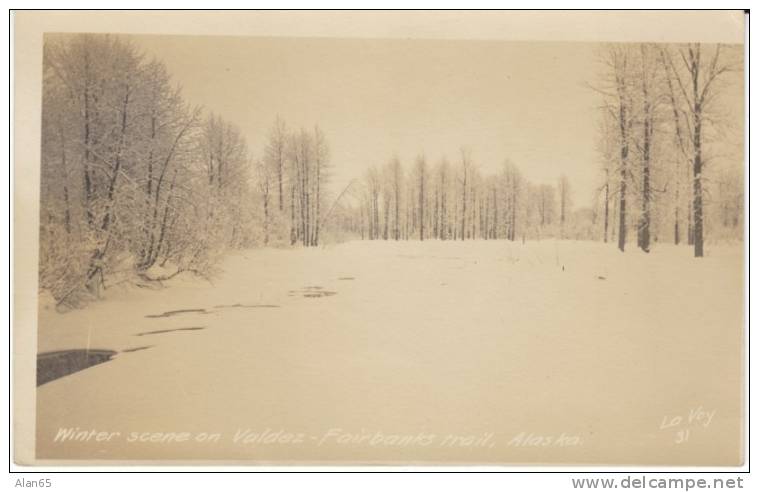 Valdez Fairbanks Trail AK Alaska, Winter Scene, C1900s/10s Vintage Real Photo Postcard - Fairbanks