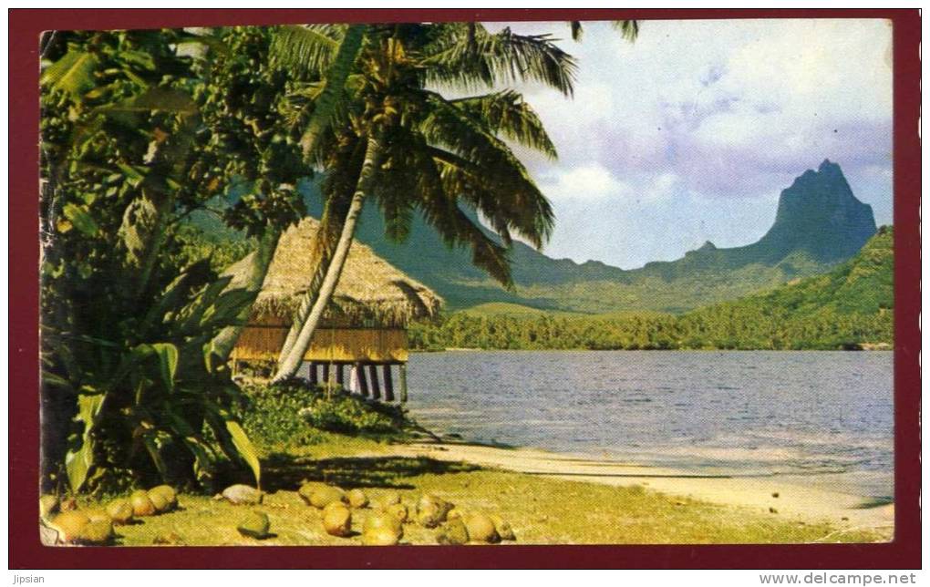 Cpsm  De Polynésie Papeete  Baie De Paopao , Paopao Bay  Moorea Tahiti  PUO6 - Polynésie Française