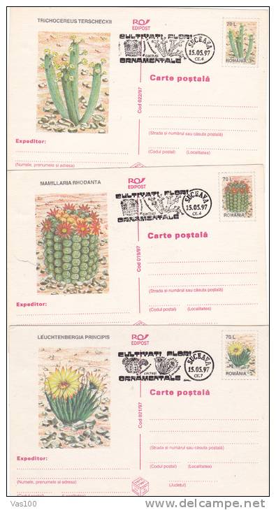 CACTUS, 6 X POSTCARDS STATIONERY, ENTIERE POSTAUX, OBLIT CONC, 1997, ROMANIA - Cactus