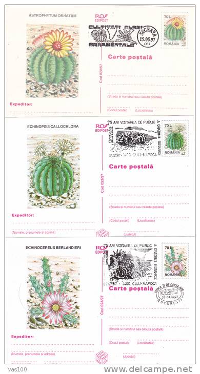 CACTUS, 6 X POSTCARDS STATIONERY, ENTIERE POSTAUX, OBLIT CONC, 1997, ROMANIA - Sukkulenten