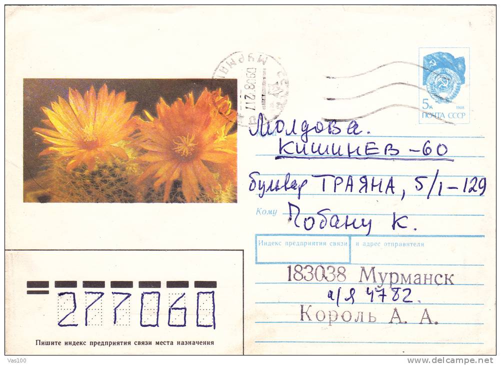 CACTUS, COVER STATIONERY, ENTIERE POSTAUX,  1982, RUSIA - Sukkulenten