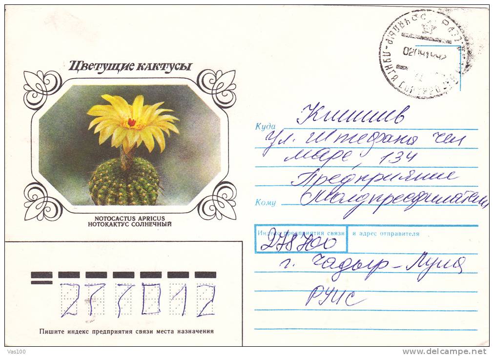 CACTUS, COVER STATIONERY, ENTIERE POSTAUX,  1992, RUSIA - Sukkulenten