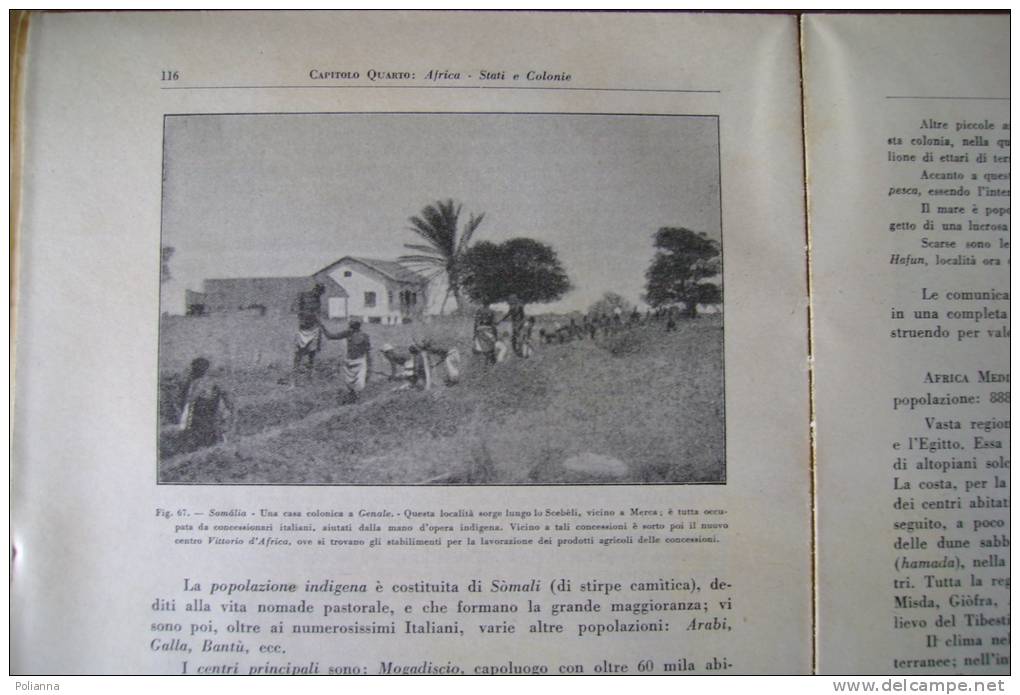 PBR/12 Vanni ELEMENTI DI GEOGRAFIA Signorelli 1949/Massiccio Kingiugianga/Lhassa/stazi One Ferroviaria Di Tokio/Somalia - History, Philosophy & Geography