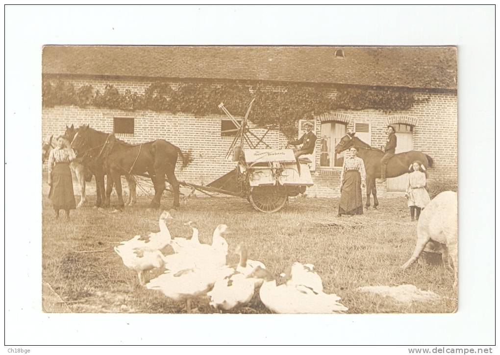 Carte Photo : Cour D'une Ferme : Animation - Oies , Cheval , Chevaux Attelés Tirant Un Chariot - Lieu à Déterminer - Farms