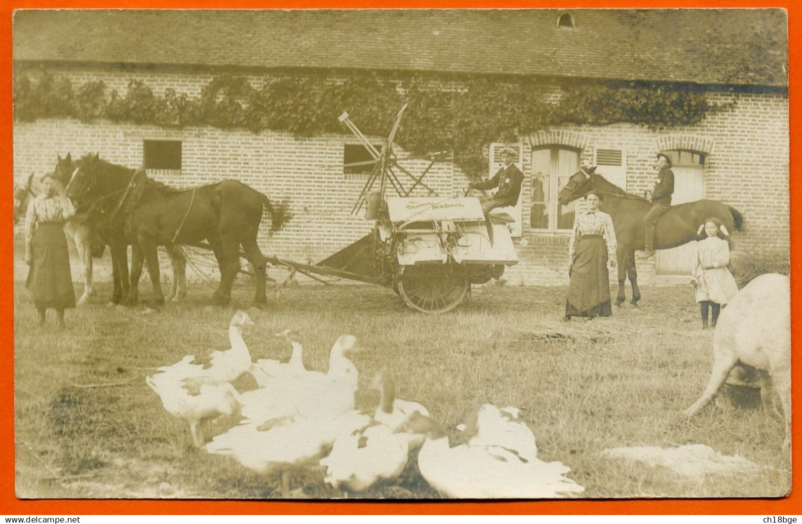 Carte Photo : Cour D'une Ferme : Animation - Oies , Cheval , Chevaux Attelés Tirant Un Chariot - Lieu à Déterminer - Bauernhöfe