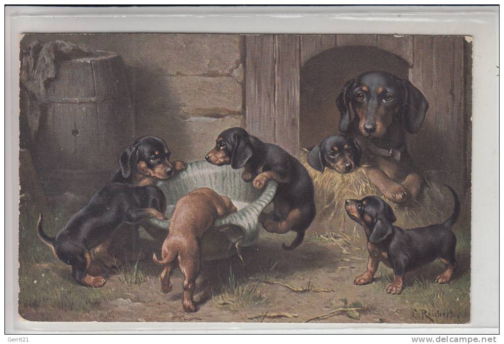 TIERE - HUNDE - DACKEL - TECKEL - Künstler-Karte Reicherts 1917 - Honden