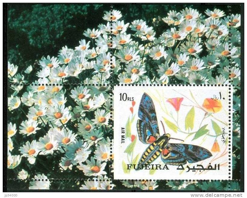 FUJEIRA Papillons (yvert BF 138) BUTTERFLIES-MARIPOSAS-FAR FALLE-SCHMETTERLINGE** Neuf Sans Charniere MNH - Papillons