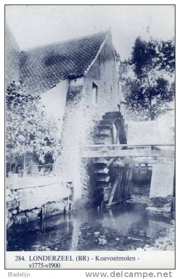 LONDERZEEL (Vl.-Brab.) - Molen/moulin - Blauwe Prentkaart Ons Molenheem V.d. Koevoetmolen Naar Oude Foto (vóór 1900) - Londerzeel