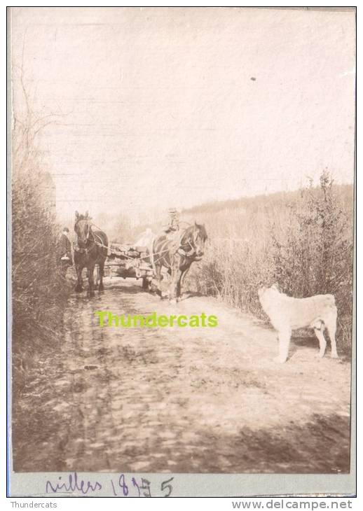 PHOTO ALBUMINE VILLERS ATTELAGE CHEVAL CHIEN - Villers-la-Ville