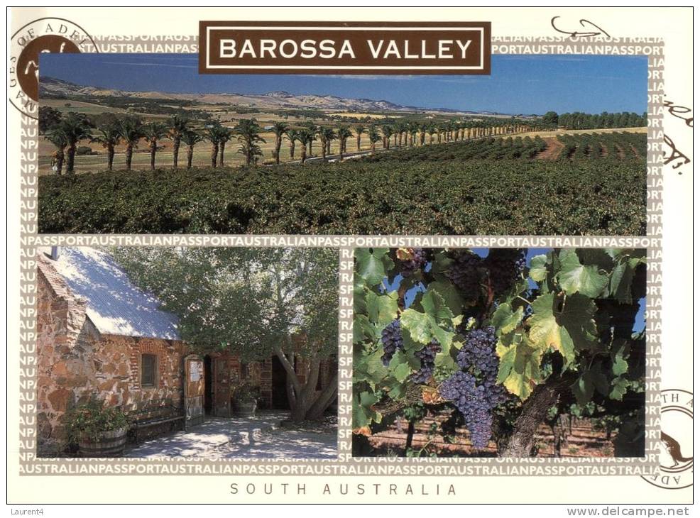 (345) Australia - SA - Barossa Valley - Barossa Valley