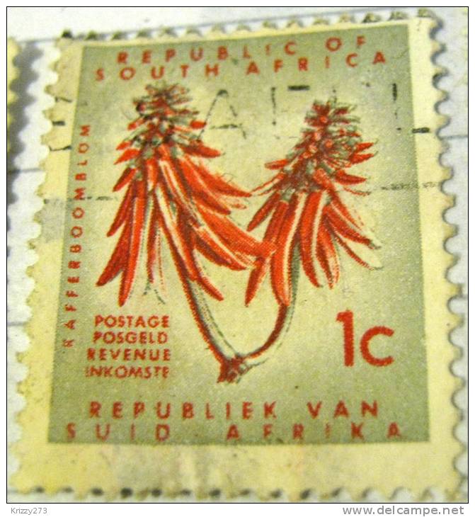 South Africa 1961 Kafferboom 1c - Used - Used Stamps