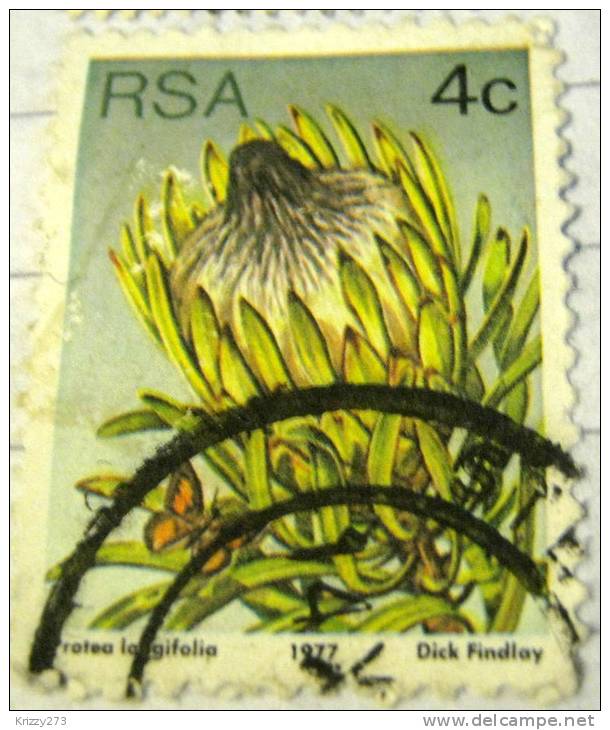 South Africa 1977 Protea Langifolia 4c - Used - Gebraucht