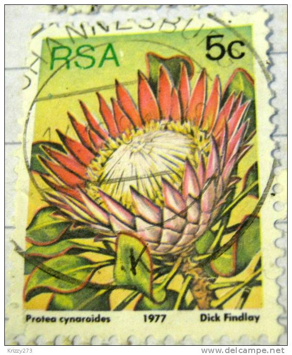 South Africa 1977 Protea Cynaroides 5c - Used - Oblitérés