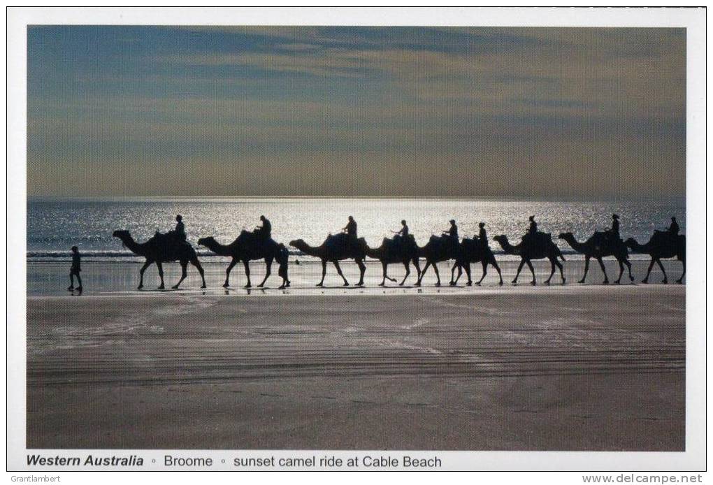 Sunset Camel Ride, Broome, Western Australia - Gottschalk Unused - Broome