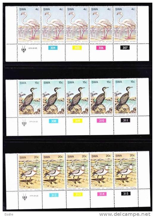 South West Africa - 1979 - Water Birds - Complete Set Of Control Blocks - Albatros & Stormvogels