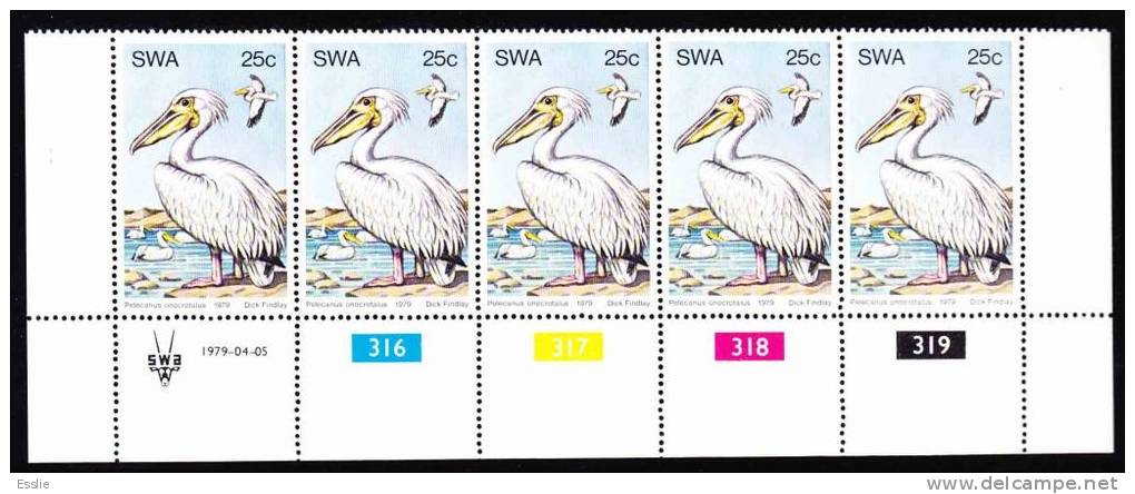 South West Africa - 1979 - Water Birds - Complete Set Of Control Blocks - Albatros & Stormvogels