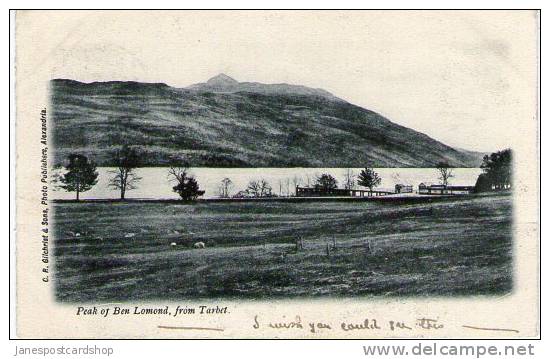 PEAK OF BEN LOMOND FROM TARBET - Ardlui Postmark - Dunbartonshire