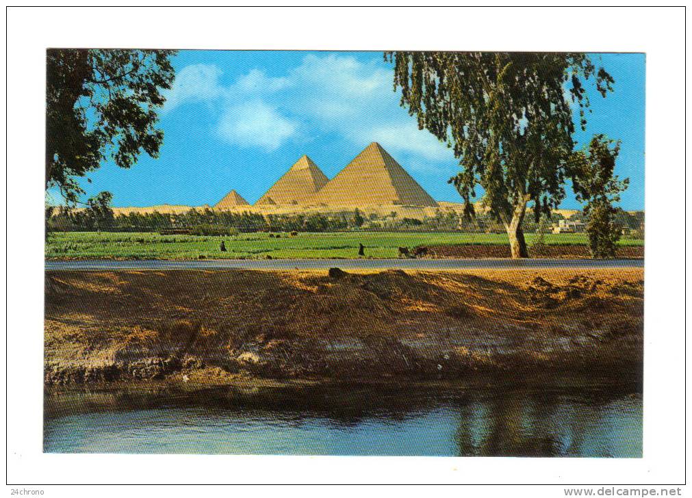 Egypte: Les Pyramides De Gizeh, The Giza Pyramids (13-1249) - Gizeh