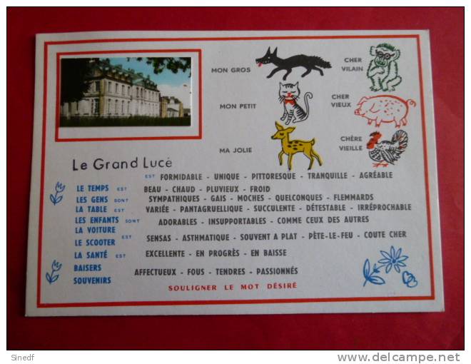 72 LE GRAND LUCE   Texte à Souligner  Chateau    NON Circulee Edit FL  Fantaisie Sarthe Systeme Photo Collee - Le Grand Luce