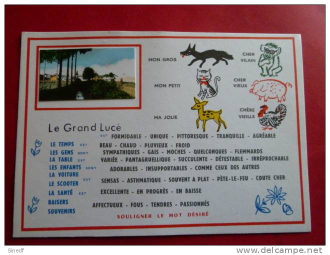 72 LE GRAND LUCE  Texte A Souligner  Vue Generale  NON Circulee Edit FL Fantaisie Sarthe Systeme Photo Collee - Le Grand Luce