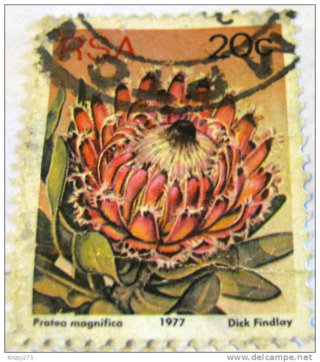 South Africa 1977 Protea Magnifica 20c - Used - Gebraucht