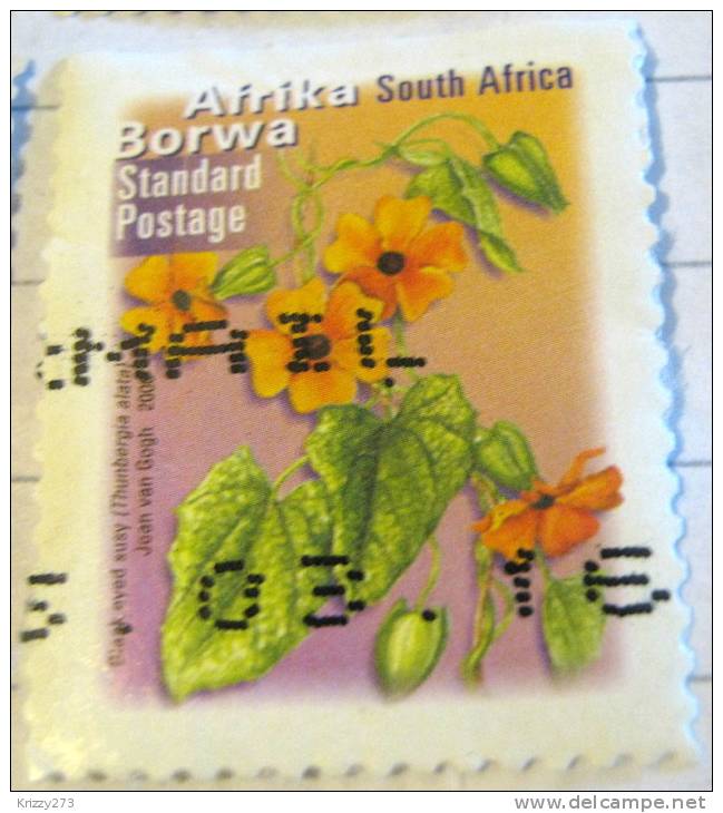 South Africa 2000 Black Eyed Susy Standard - Used - Gebraucht