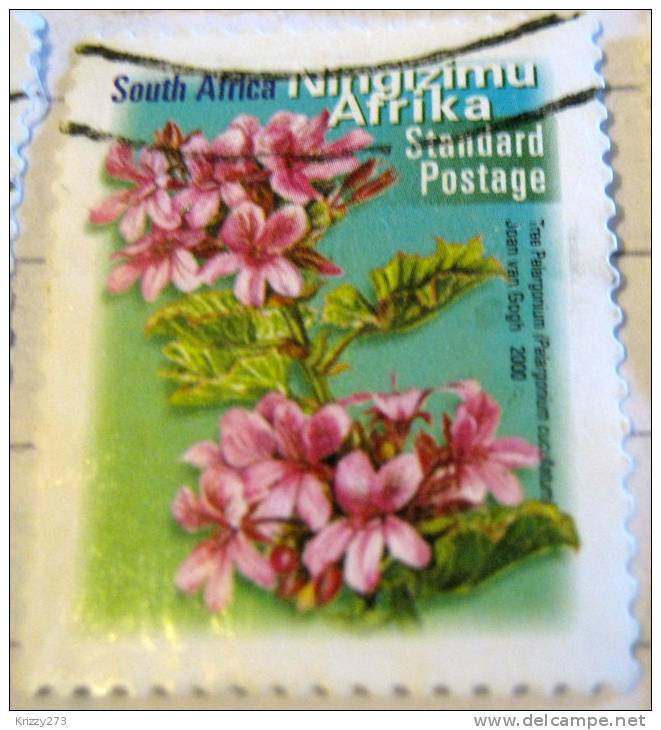 South Africa 2000 Tree Pelargonium Standard - Used - Usados