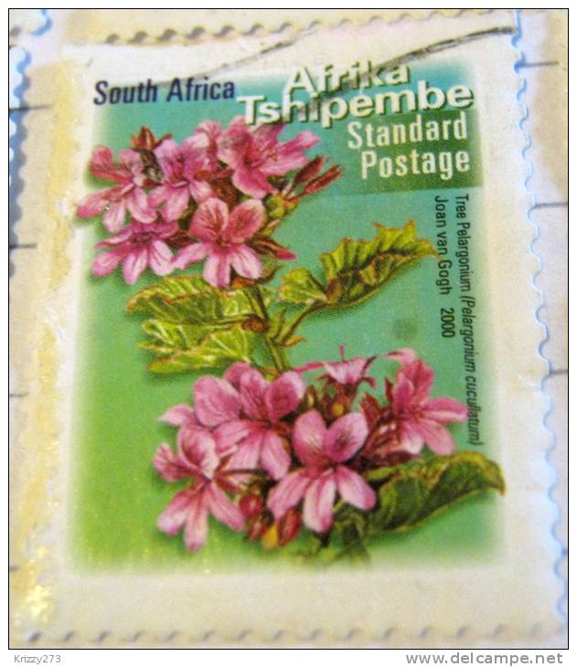 South Africa 2000 Tree Pelargonium Standard - Used - Gebraucht