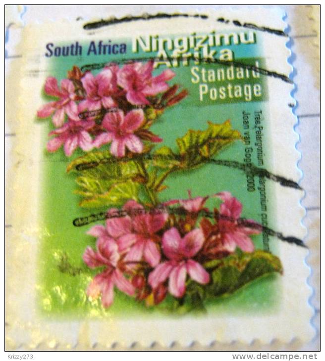 South Africa 2000 Tree Pelargonium Standard - Used - Gebraucht