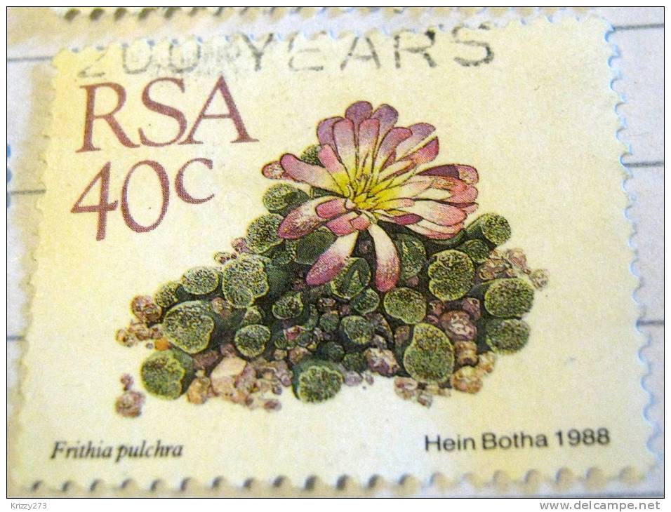 South Africa 1988 Cactus Frithia Pulchra 40c - Used - Used Stamps