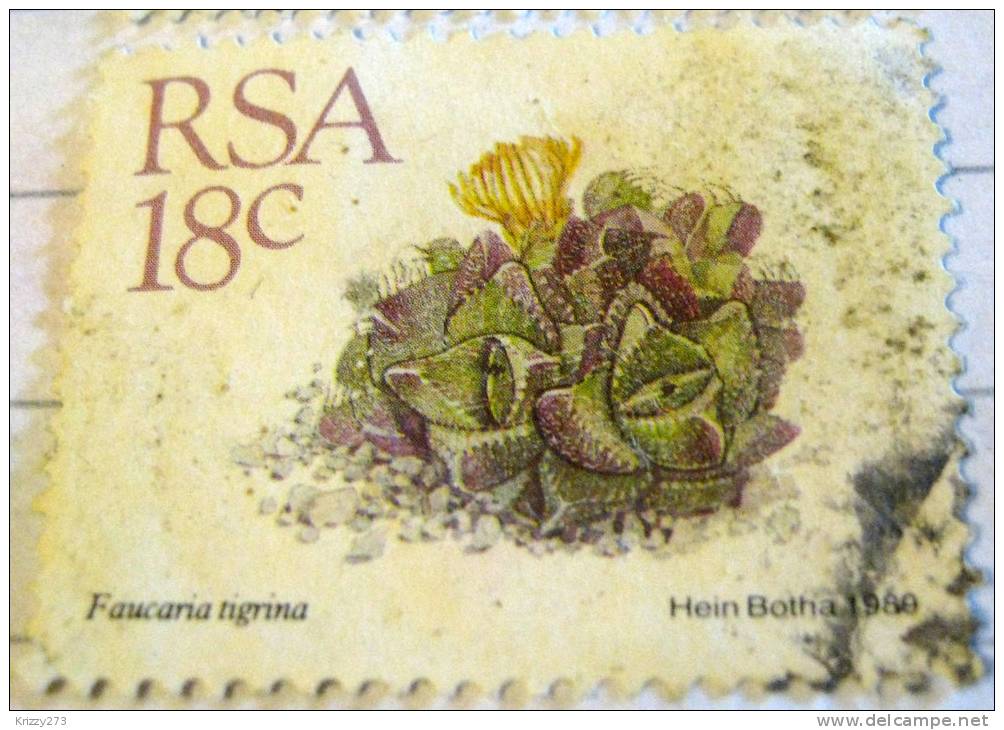 South Africa 1989 Cactus Faucaria Tigrina 18c - Used - Used Stamps