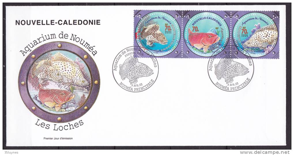 NOUVELLE CALEDONIE -1 Er Jour - FDC - Aquarium De Nouméa - 2003 -  1  Enveloppe  -  - - FDC