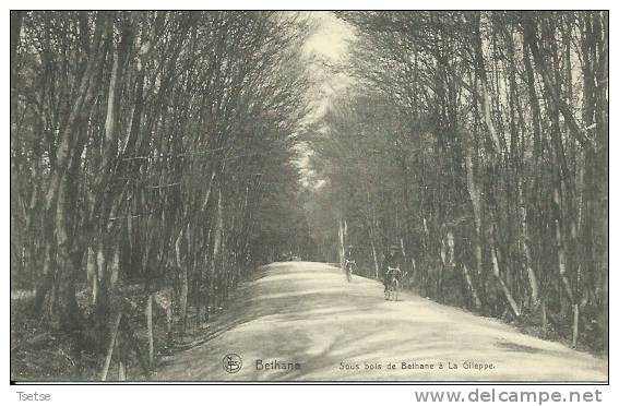 Bethane ( Goé ) - Sous Bois De Bethane à La Gileppe - Cyclistes - 191? ( Voir Verso ) - Limbourg