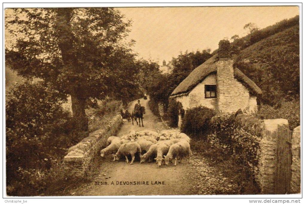 A Devonshire Lane, Old Postcard, Sheep (pk11913) - Other & Unclassified