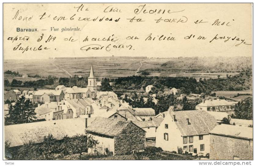 Barvaux - Jolie Vue Générale Du Village -1904 ( Voir Verso ) - Durbuy