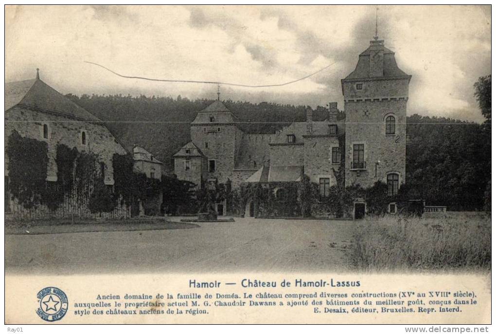 BELGIQUE - LIEGE - HAMOIR - Château De Hamoir-Lassus. - Hamoir