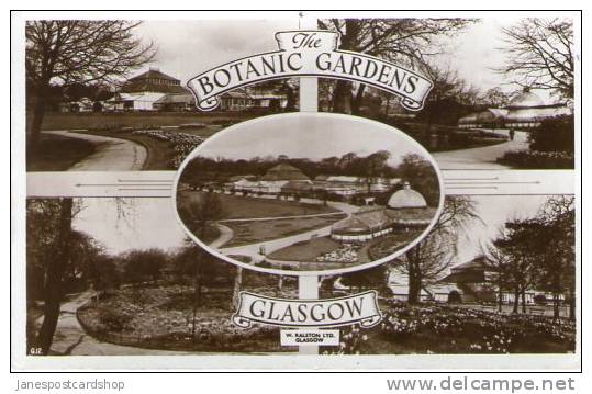 Real Photo Multi View  POSTCARD IN BOTANIC GARDENS - GLASGOW - - Dunbartonshire