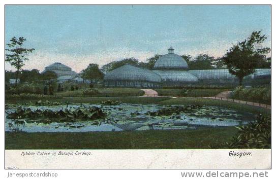 KIBBLE PALACE IN BOTANIC GARDENS GLASGOW - Coloured Postcard - Dunbartonshire