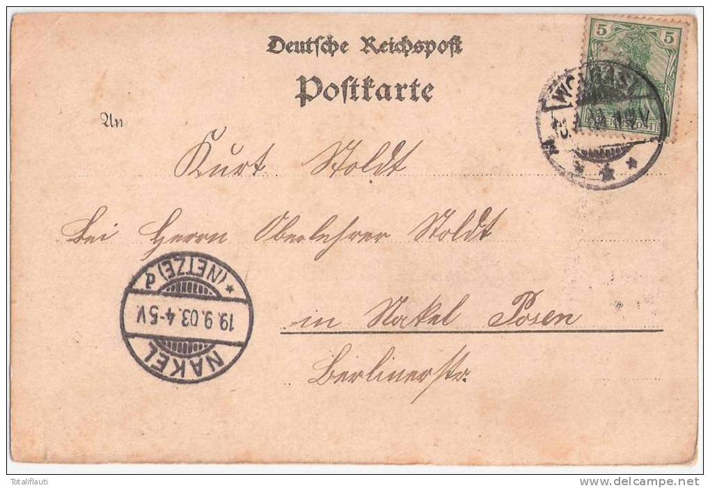 Gruss Aus Wolgast Total Ansicht Vogelschau Bläulich 18.9.1903 Nach NAKEL Netze - Wolgast