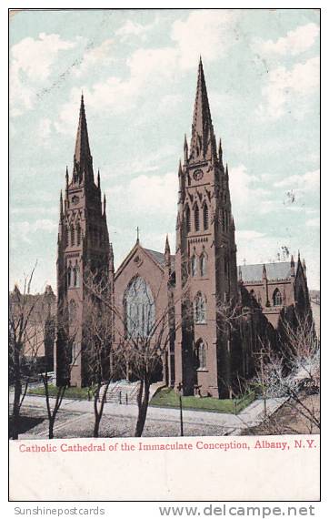 New York Albany Catholic Cathedral Of The Immaculate Conception 1908 - Albany