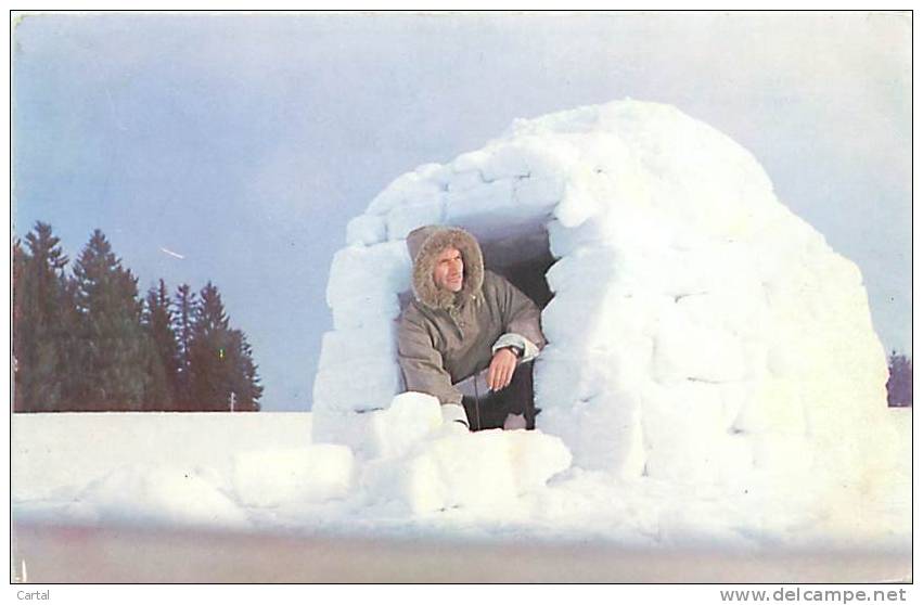 IGLOO - Laponie Norvégienne (Gauroy, Atlas Photo Edité Par Le Comité National De L'Enfance, Paris) - Norvège