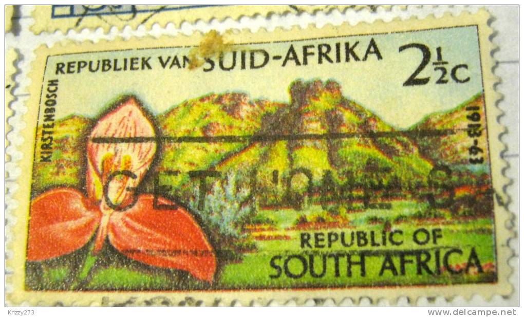 South Africa 1963 50th Anniversary Of The Botanical Gardens 2.5c - Used - Used Stamps