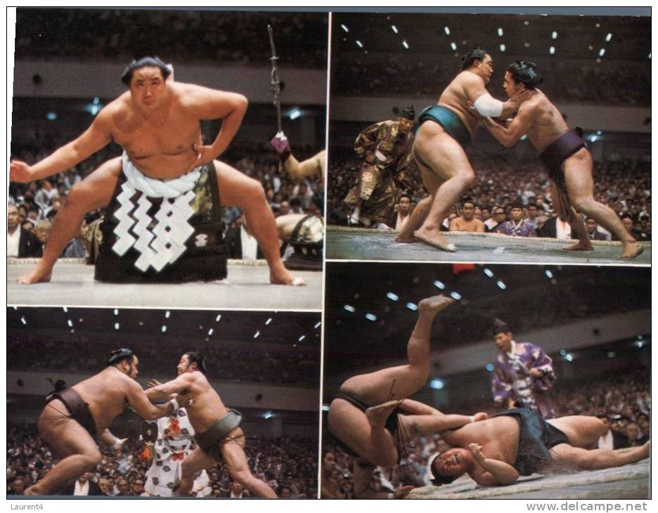(526) Sumo Wrestling - Lutte