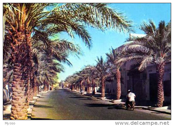 GHARDAIA Avenue Du 1° Novembre 1954 - Ghardaia