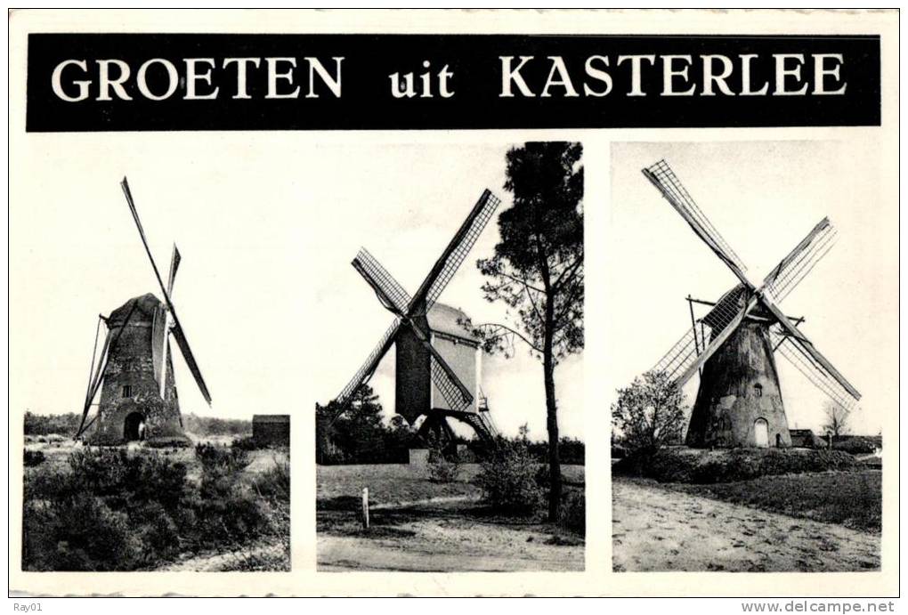 BELGIQUE - ANVERS - KASTERLEE - CASTERLEE - Groeten Uit Kasterlée. - Kasterlee