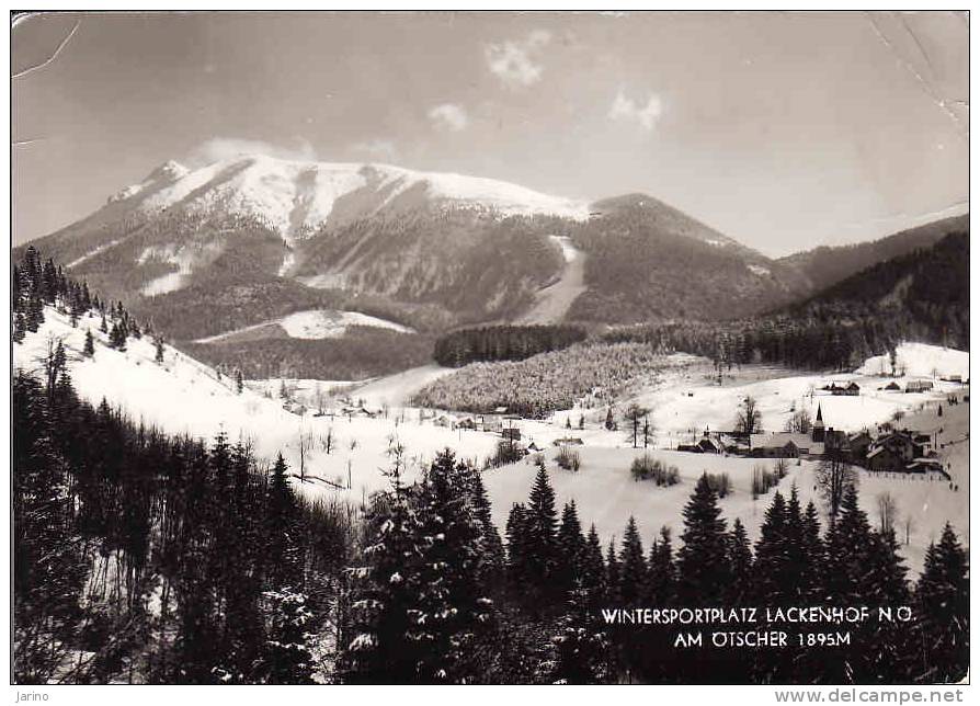 Österreich, Wintersportplatz Lackenhof 1963, Am Otscher, Gelaufen Ja 1963 - Lunz Am See