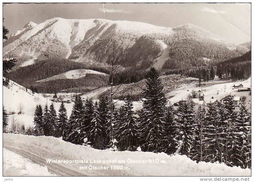 Österreich, Wintersportplatz Lackenhof 1964, Am Otscher, Gelaufen Ja 1964 - Lunz Am See