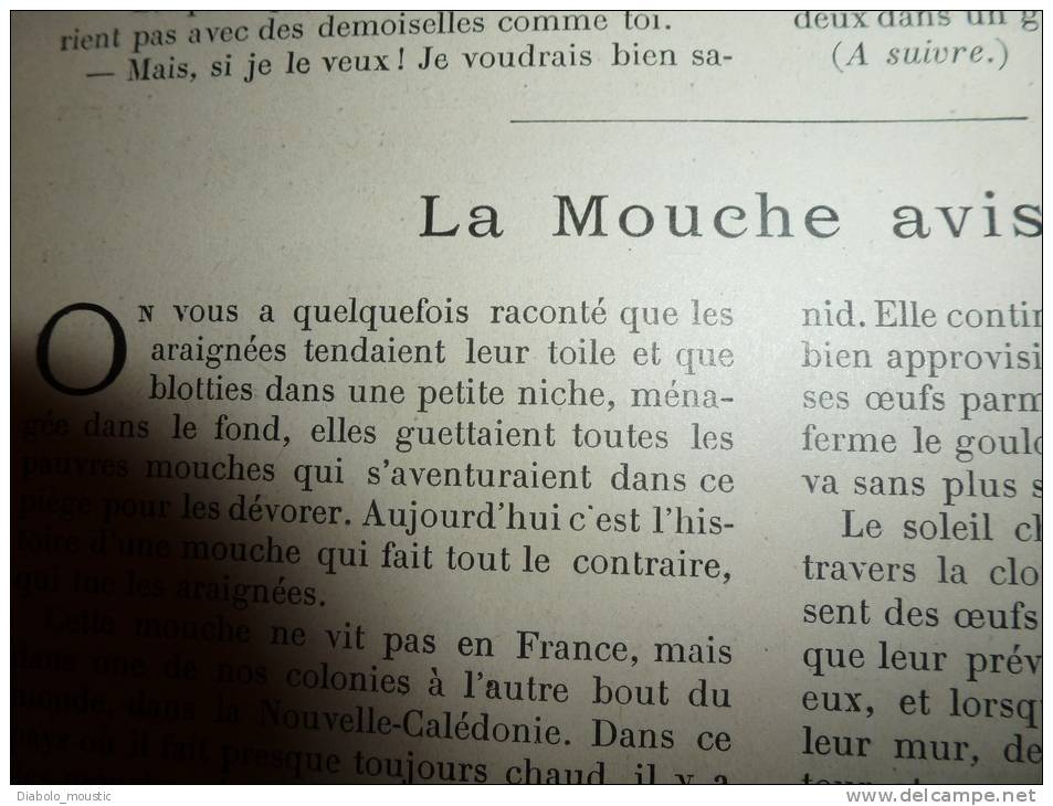 1902 Le Petit Français Illustré:Petits Oiseaux ;BIDASSOA; Mont Jaizquibel;Photo Meys; La MOUCHE Tueuse D'ARAIGNEE;Volcan - 1901-1940