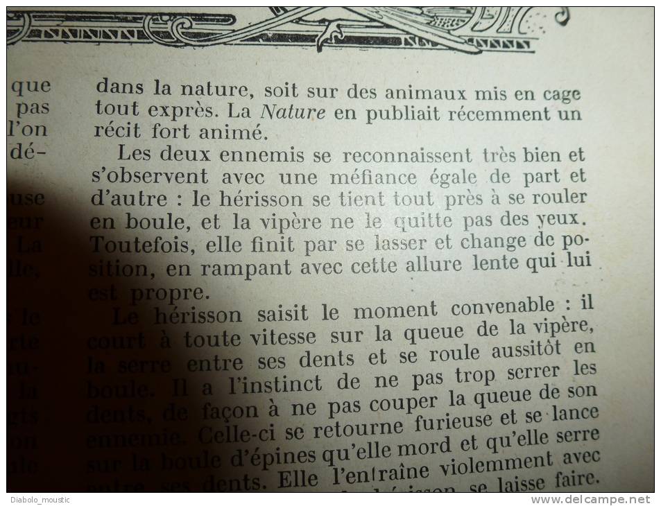 1902 Le Petit Français illustré:St-Germain; Mahomet-Abou-Beck; Amour d'un crocodile et d'un oiseau;Duel Vipère-Hérisson