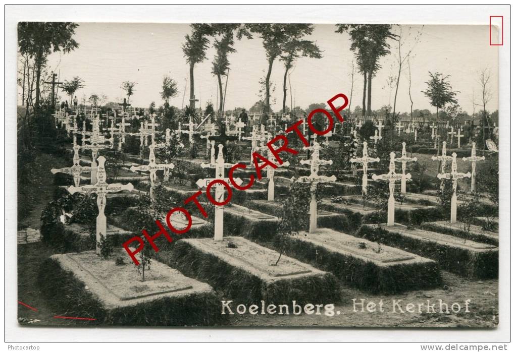 KOELENBERG-GHELUWE-CIMETIERE Militaire Allemand-Tombes-CARTE PHOTO Allemande-Guerre 14-18-1WK-BELGIQUE-BELGIEN- - Wervik